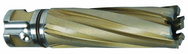 19MM X 50MM CARBIDE CUTTER - Industrial Tool & Supply