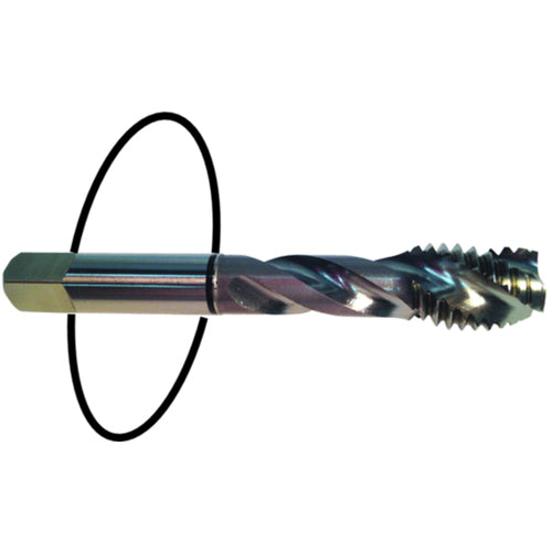 ‎8-32 Dia-H3-2 FL-Std Spiral Point Tap - Black Ring - Industrial Tool & Supply