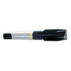 ‎6-40 Dia-H2-2 FL-Std Spiral Point Tap-Yellow Ring - Industrial Tool & Supply