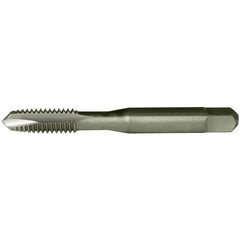 M5X0.8 SP TAP D4 2FL PLG HSS