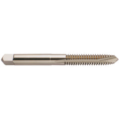 ‎1/4-20 H5 2FL SPPT TAP PLUG HRDSLK