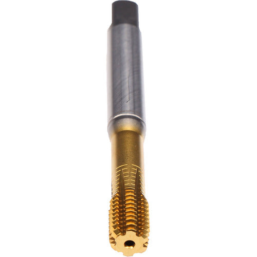 ‎3/8-24-FORMVA-CLNT-PM-TIN