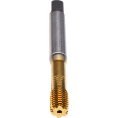 ‎3/8-24-FORMVA-CLNT-PM-TIN