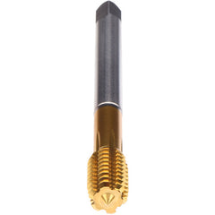 ‎3/4-10-FORM Z-PM-CLNT-TIN