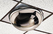 22" Dome- 2x4' 360° Drop-In Ceiling Mount - Safety Mirror - Industrial Tool & Supply