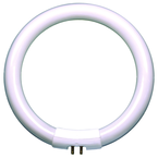 18 Watt Full Spectrum Circline Fluorescent T5 Bulb - Industrial Tool & Supply