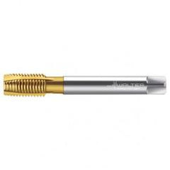 TC216-M12X1.75 6H WY80AA HS SPPT TAP - Industrial Tool & Supply