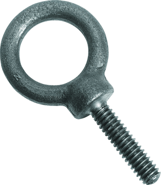 Protoå Forged Eye Bolt - 2.75" - Industrial Tool & Supply