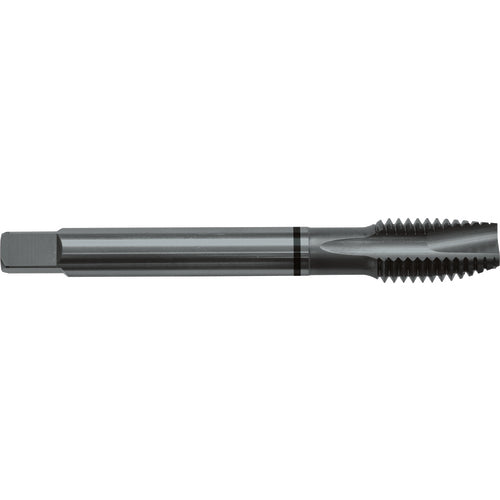 ‎4-40 H2 2 Flute Spiral Pointed Plug Black Ring Tap-Steam Oxide - Industrial Tool & Supply