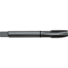 ‎4-40 H2 2 Flute Spiral Pointed Plug Black Ring Tap-Steam Oxide - Industrial Tool & Supply