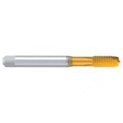 M5–6H REK.A-H/E TiN Straight Flute Tap - Industrial Tool & Supply
