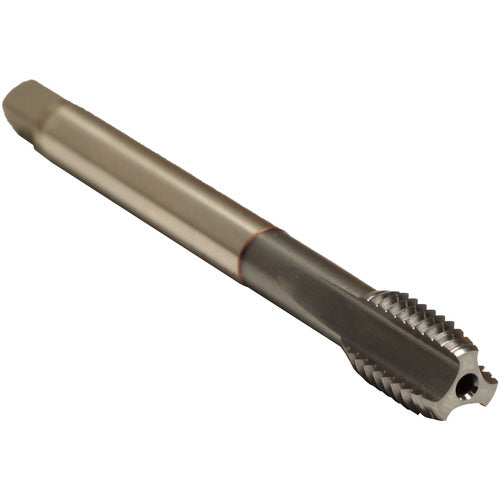 ‎7/16-20-SLOW SP-CLNT-TICN