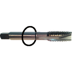 ‎5/16-24 Dia-H4-3 FL-Std Spiral Point Tap - Black Ring - Industrial Tool & Supply