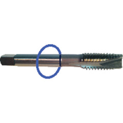 ‎M3.5 x .60 Dia-D4-2 FL-Std Spiral Point Tap - Blue Ring - Industrial Tool & Supply