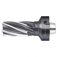 F1682.N8.050.Z06.80.P - Industrial Tool & Supply