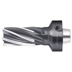 F1682.N8.063.Z06.100.K - Industrial Tool & Supply
