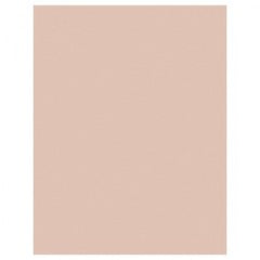 8 1/2 in × 11 in 3M™ Lapping Film 261X Brown Alt Mfg # 14050 - Industrial Tool & Supply