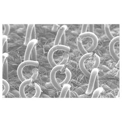 ‎3M Hookit Roloc Disc Pad Type J 82565 1-1/2″ - Industrial Tool & Supply